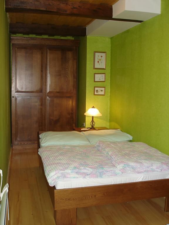 Apartmaji Zolnir Kostanjevica na Krki Værelse billede